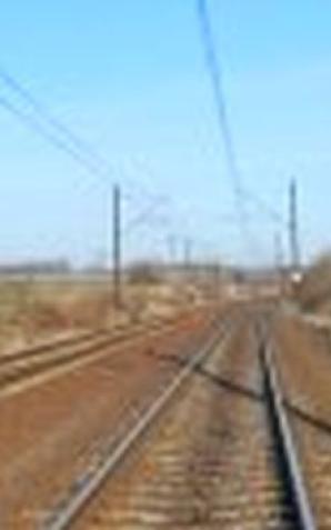 Łódzkie: Funkcjonariusze uratowali psa przywiązanego sznurkiem do torów! Dorwali sadystę, którego wskazało uratowane zwierzę!