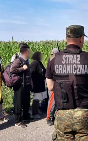 62 osoby, w tym obywatele Iraku, Iranu, Kamerunu zatrzymano na białorusko-polskiej granicy. Największe zatrzymanie w ciągu doby. Za pomocnictwo w przekroczeniu granicy wbrew przepisom zatrzymano obywatela Ukrainy