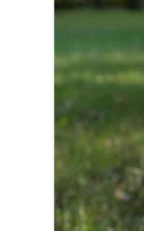 100% na zbiórce Lucjanka! Dziękujemy 