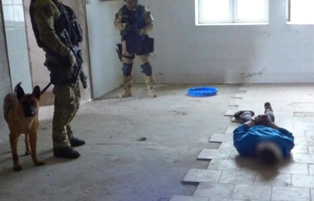 56 osób zatrzymanych, 45 aresztowanych, 228 zarzutów - to efekt współpracy CBŚP i Policji z Niemiec